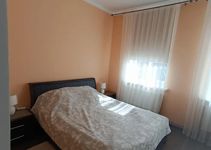 Apartment Near University